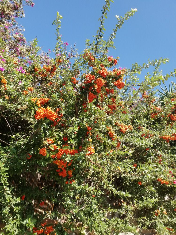 Ferien auf Sardinien 2019