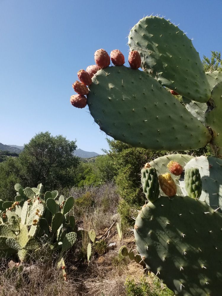 Ferien auf Sardinien 2019