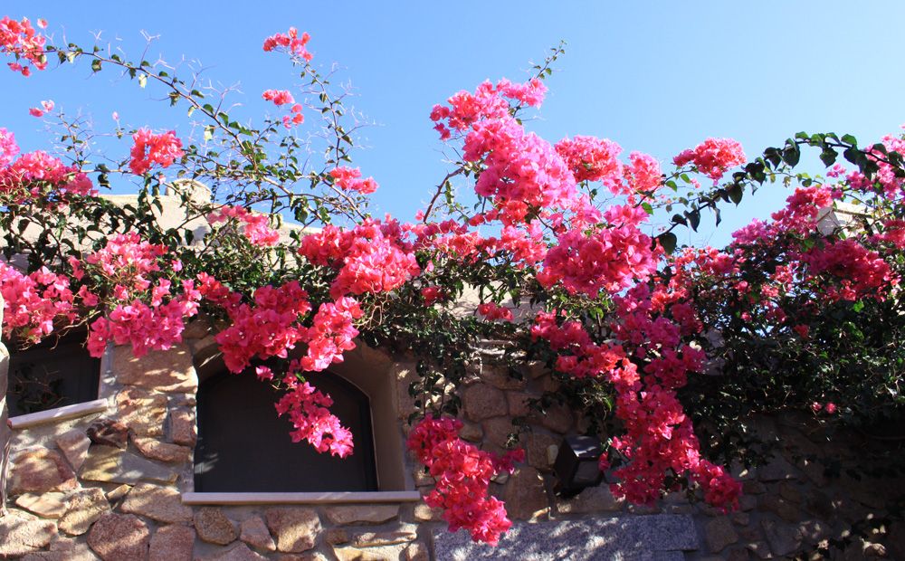 Ferien auf Sardinien 2019